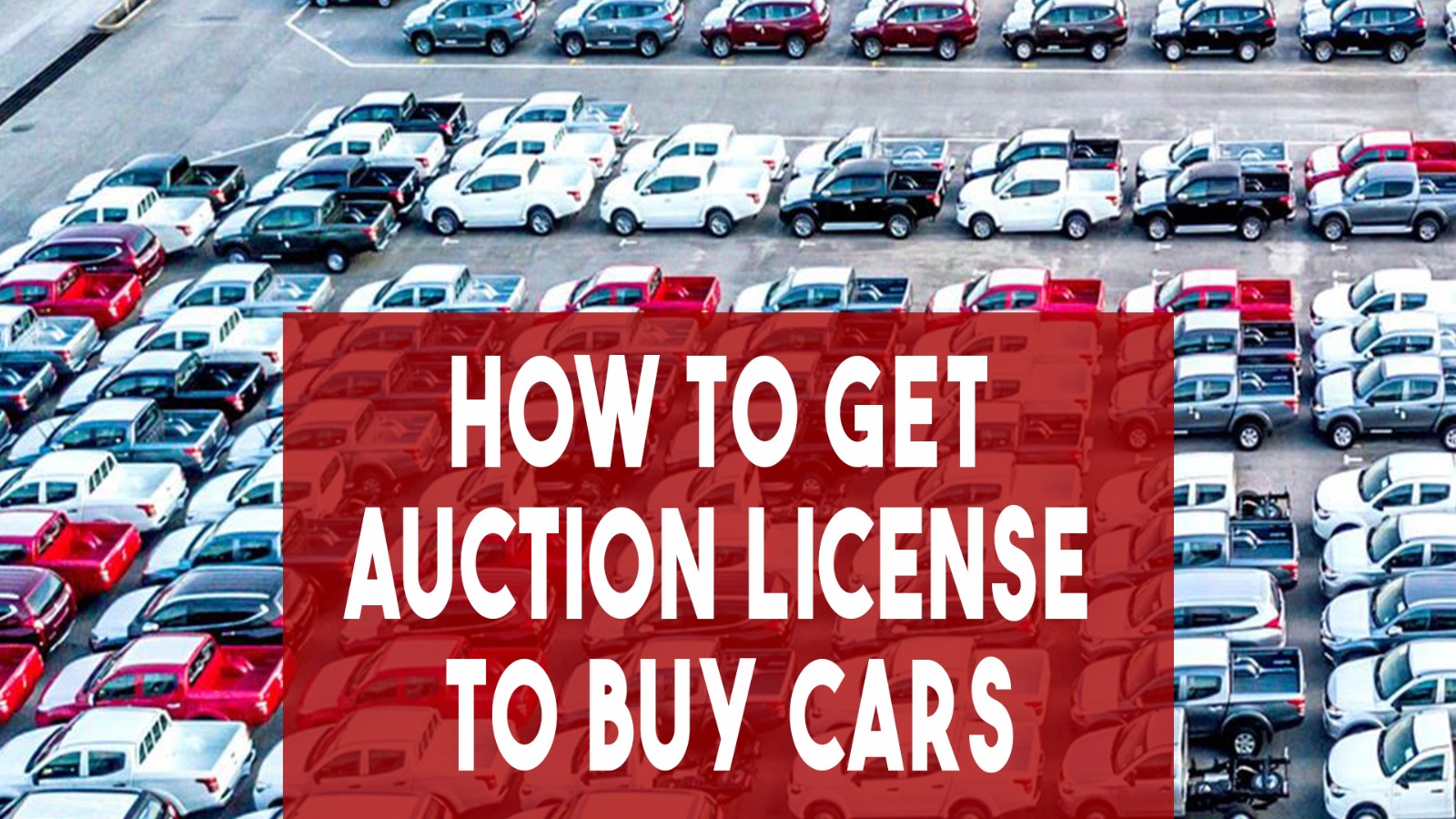 How To Get Auction License To Buy Cars?